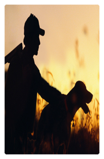 DF35T 311 Gone Hunting (Dog)